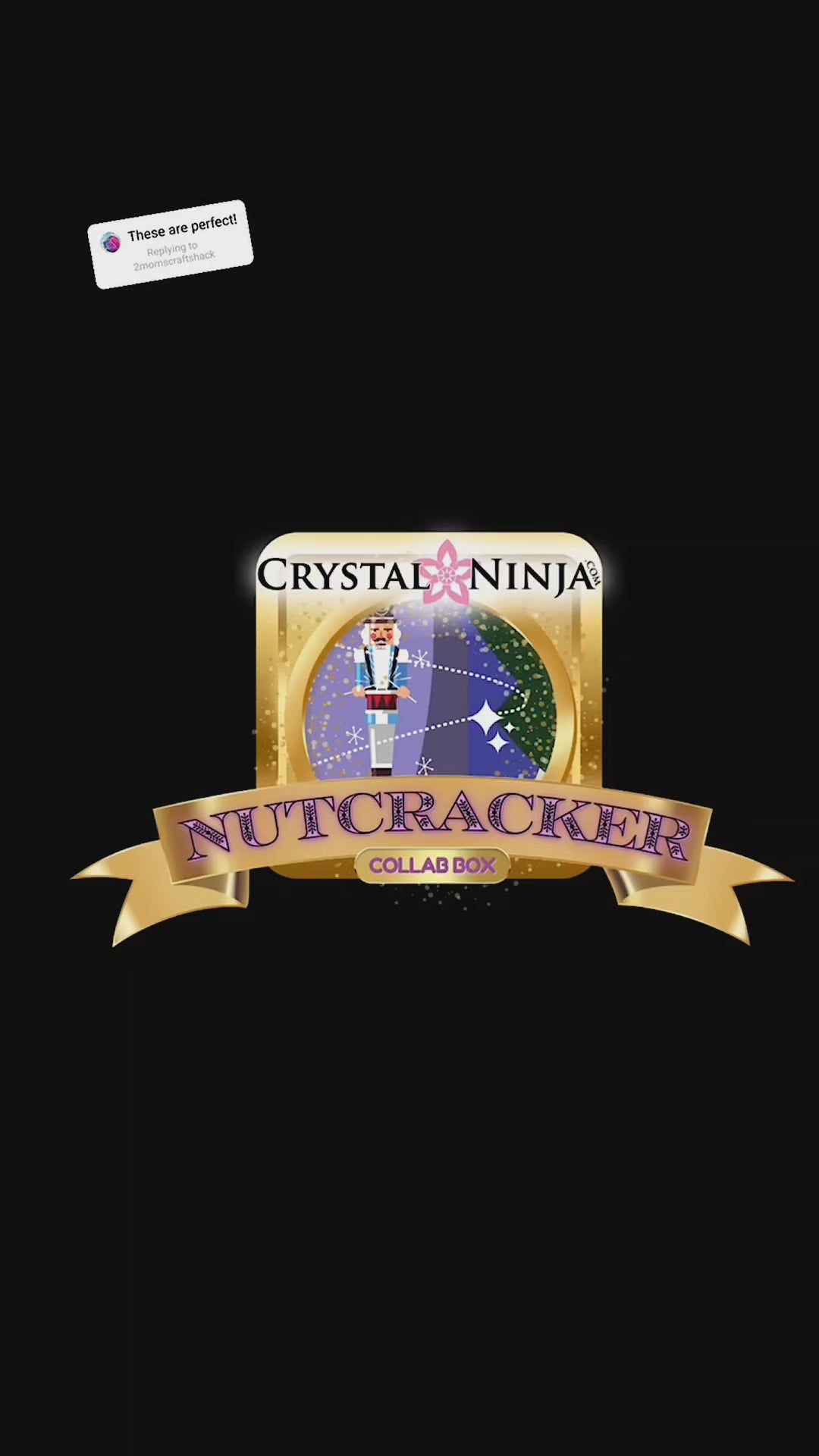 *PRESALE - 🌟 CrystalNinja Nutcracker Collab Box 🌟